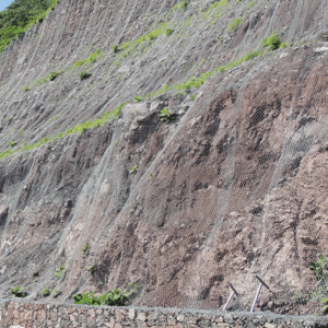 Malla-triple-torsion